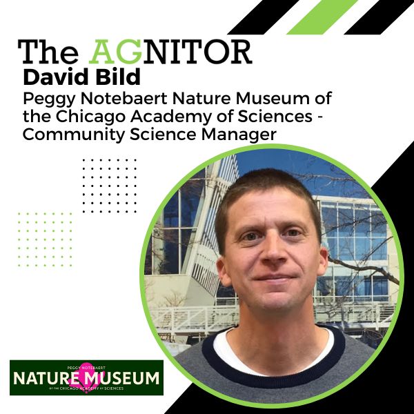 David Bild