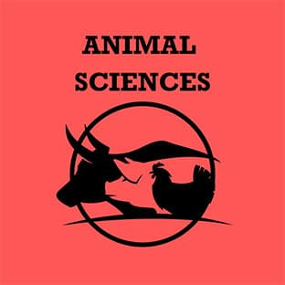 Animal Sciences