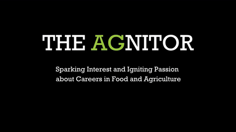 The AGNITOR - Sparking Interest